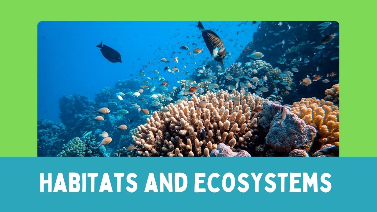 Habitats and Ecosystems