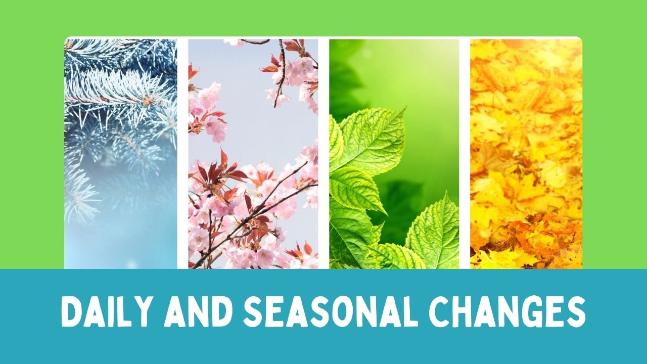 Daily and Seasonal Changes