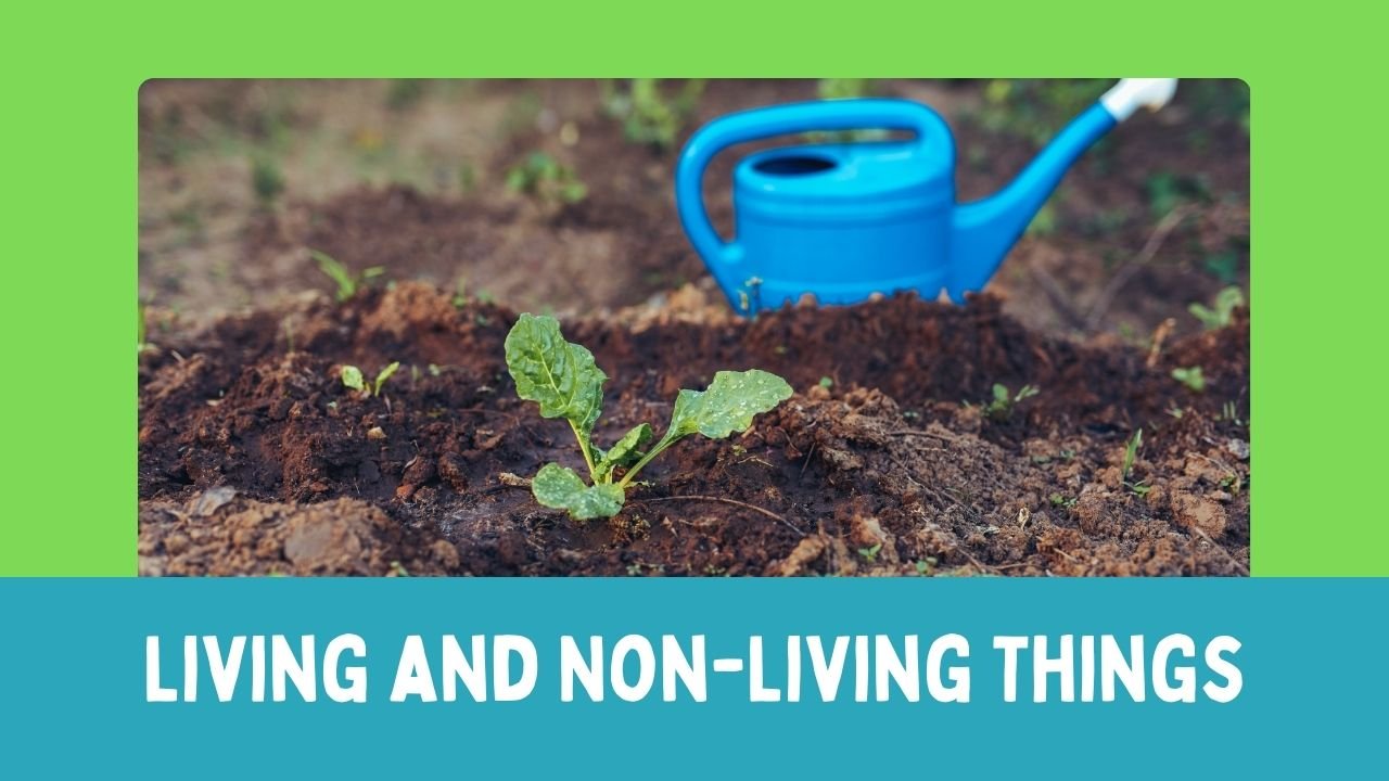 Living and Non-Living Things