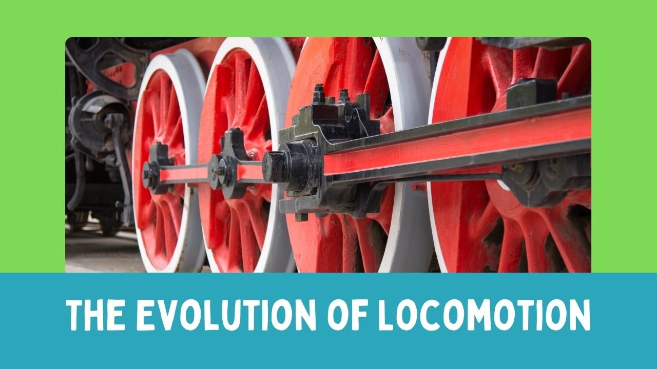 The Evolution of Locomotion