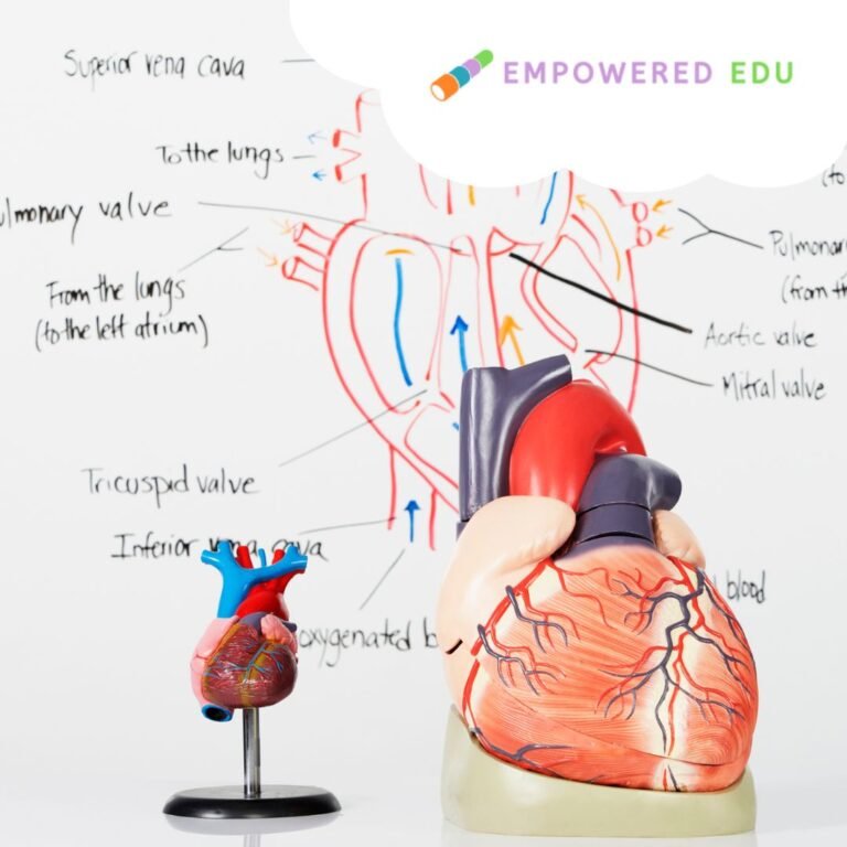 Bring Your Ideas to Life: A Guide to Creating Awesome Annotated Drawings!