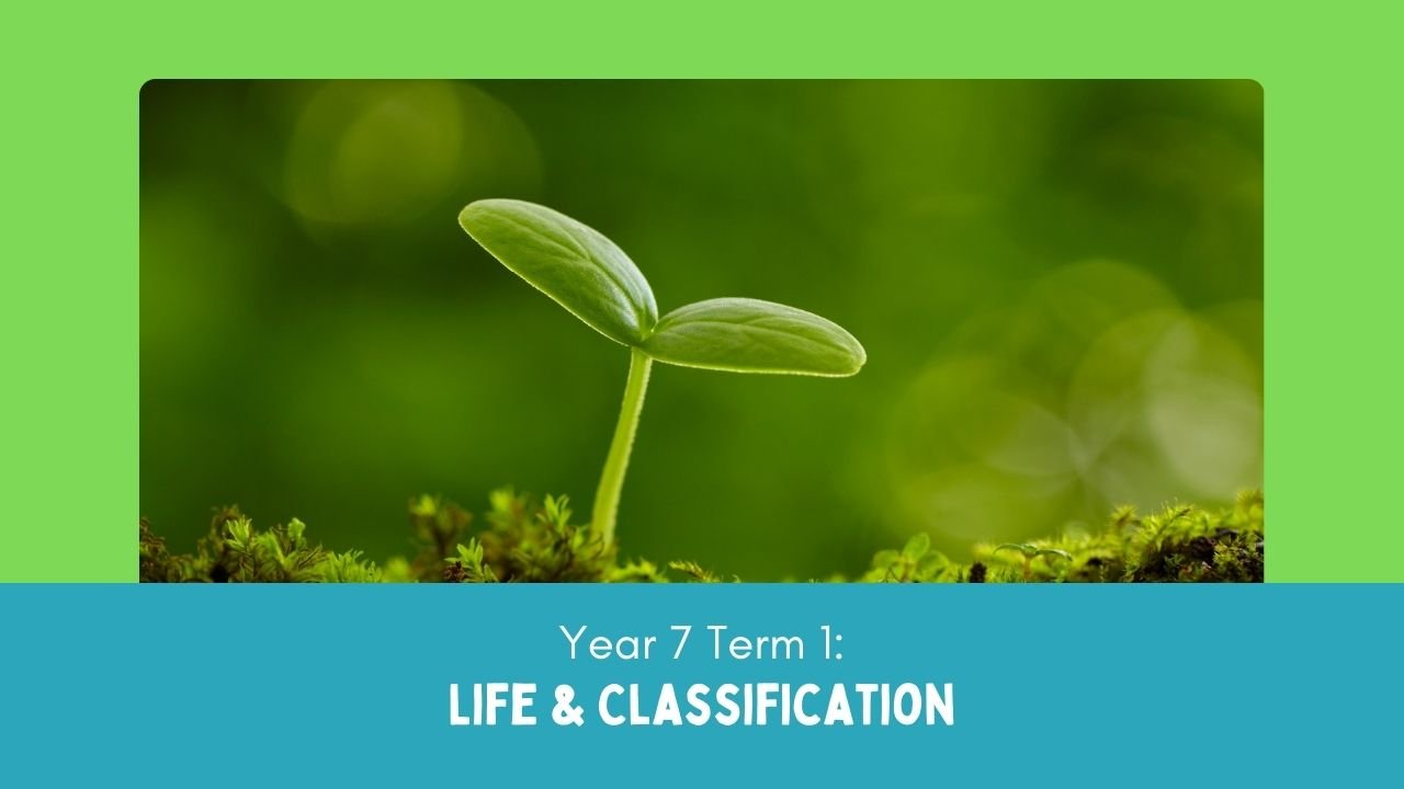 Year 7 Term 1: Patterns of Life